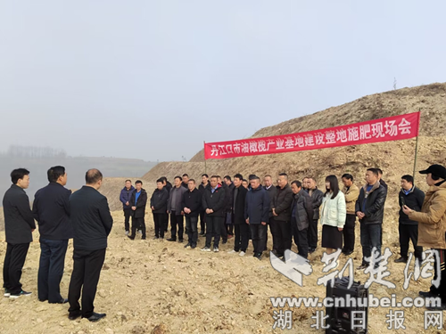 丹江口市召开油橄榄产业基地建设整地施肥现场会